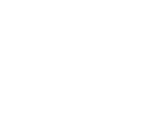 LEONIX