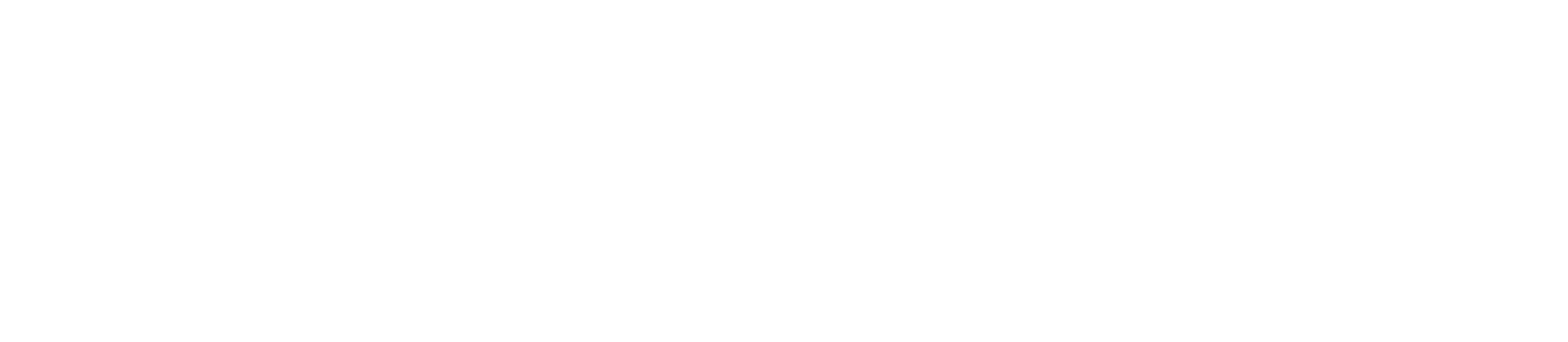 LEONIX